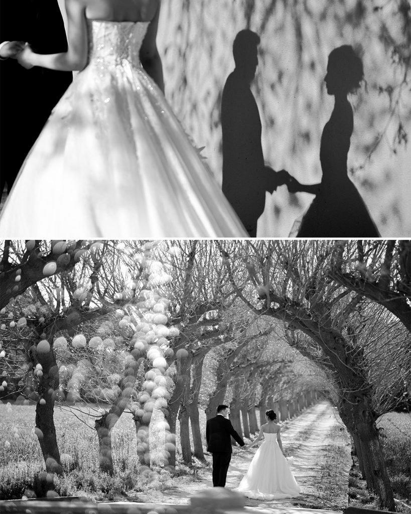 Urla terra santa düğün fotoğrafları